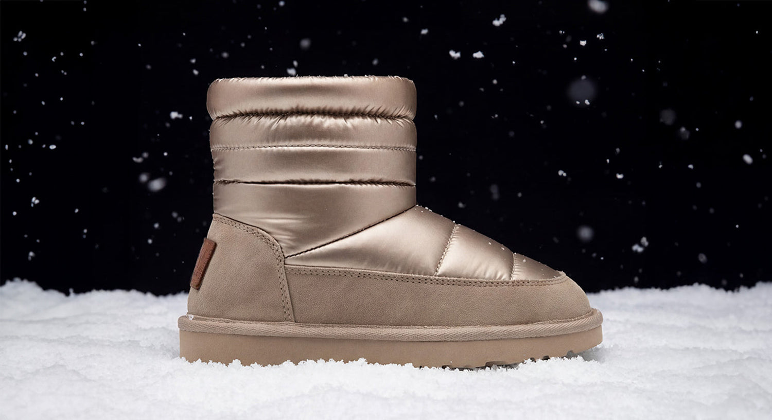 What Are Apreski Boots?