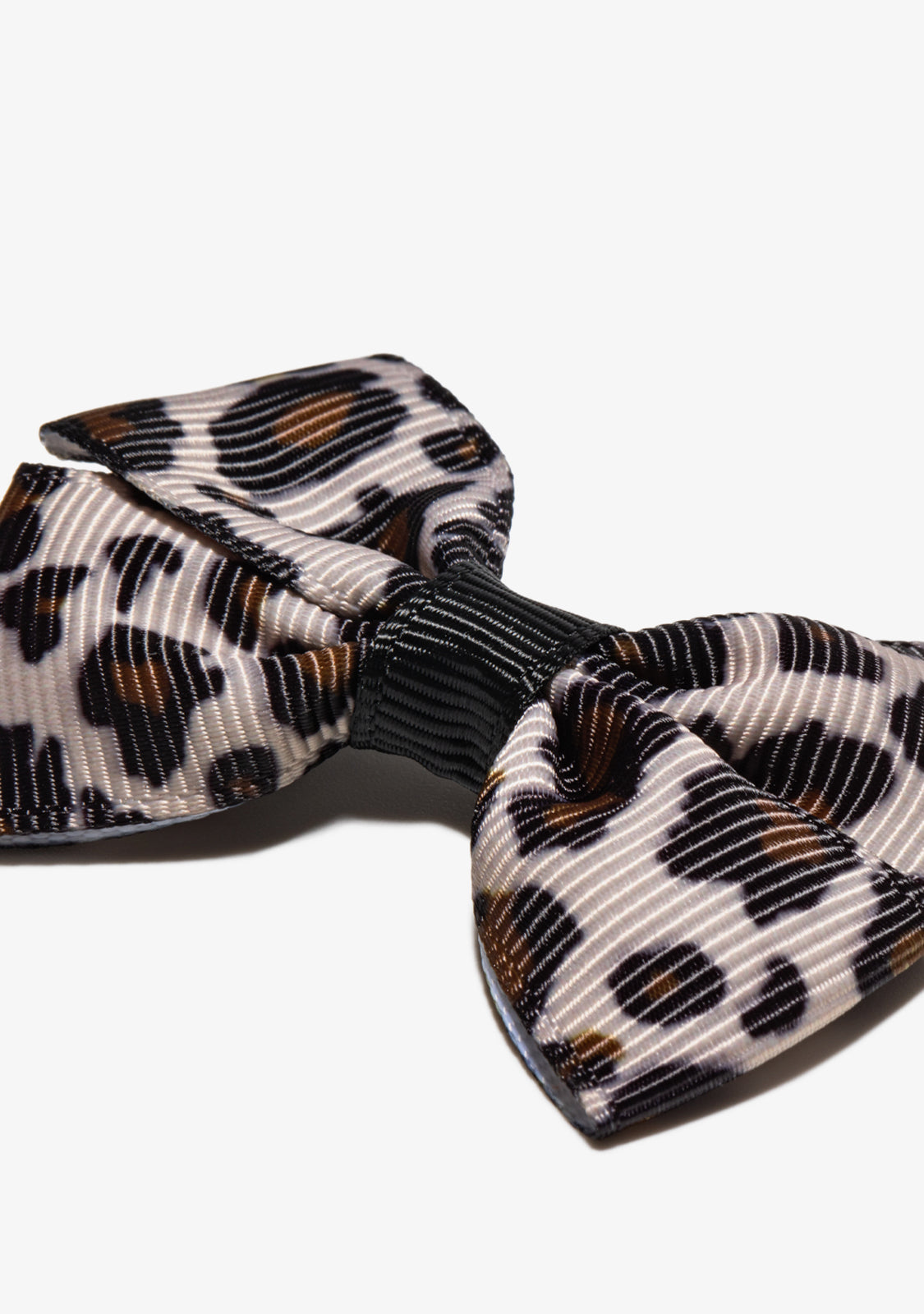 FAILLE-SCHLEIFE LEOPARD
