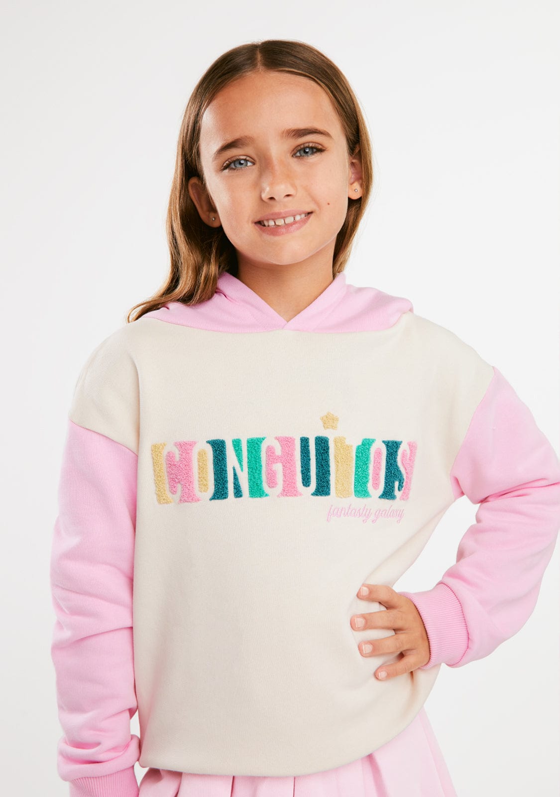 Multicolour Plush Embroidery Hoddie